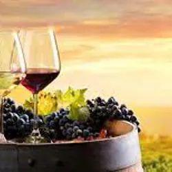 VINI IN BOTTIGLIA