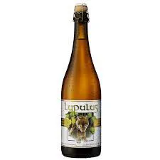 CARTONE x 12 BOTTIGLIE LUPULUS BLONDE 75cl