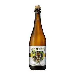 CARTONE x 12 BOTTIGLIE LUPULUS BLONDE 75cl
