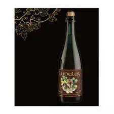 CARTONE x 12 BOTTIGLIE LUPULUS BRUNE 75cl
