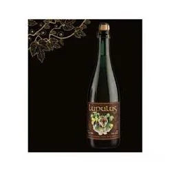 CARTONE x 12 BOTTIGLIE LUPULUS BRUNE 75cl