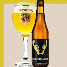 CARTONE x 24 BOTTIGLIE LUPULUS BLANCHE 33cl