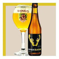 CARTONE x 24 BOTTIGLIE LUPULUS BLANCHE 33cl