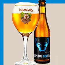 CARTONE x 24 BOTTIGLIE LUPULUS HOPERA 33cl