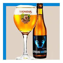 CARTONE x 24 BOTTIGLIE LUPULUS HOPERA 33cl
