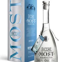 ICE MOST