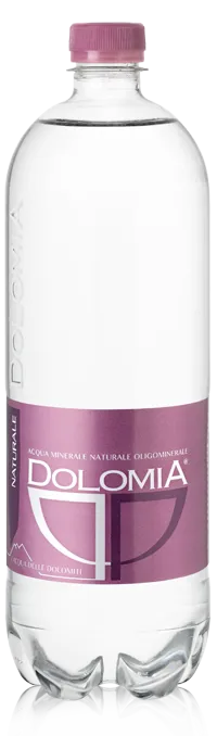CONFEZIONE X 10 BOTTIGLIE DOLOMIA NATURALE LT PET