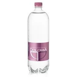 CONFEZIONE X 10 BOTTIGLIE DOLOMIA NATURALE LT PET
