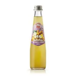 CARTONE x 24 BOTTIGLIE PLOSE THÈ BIANCO & ZENZERO 25cl