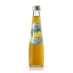 CARTONE x 24 BOTTIGLIE PLOSE THE LIMONE 25cl