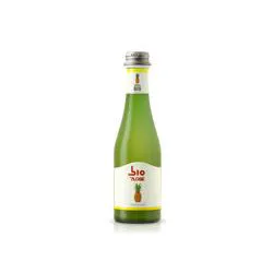 CARTONE x 24 SUCCHI BIO PLOSE ANANAS 20cl