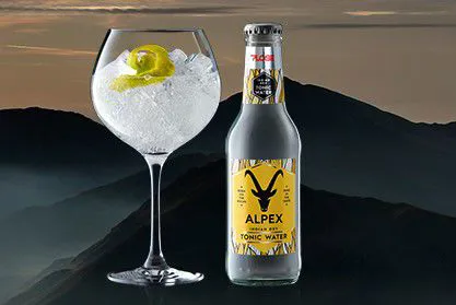 CARTONE x 24 BOTTIGLIE TONIC WATER INDIAN DRY 20cl