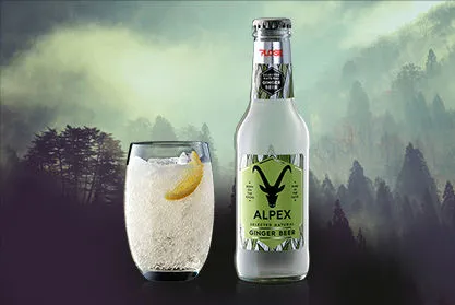 CARTONE x 24 BOTTIGLIE GINGER BEER ITALIAN TASTE 20cl