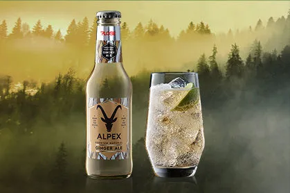 CARTONE x 24 BOTTIGLIE GINGER ALE 20cl