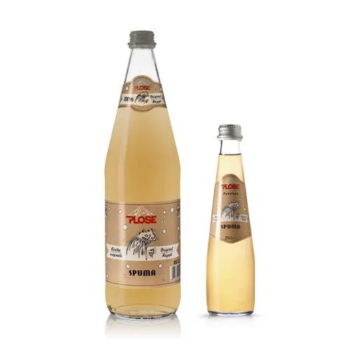CARTONE x 24 BOTTIGLIE SPUMA PLOSE 25cl