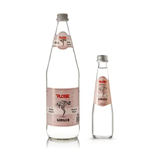 CARTONE x 24 BOTTIGLIE GINGER PLOSE 25cl