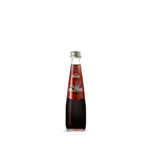CARTONE x 24 BOTTIGLIE COLA PLOSE 25cl